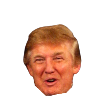 Donald Trump face Meme Template