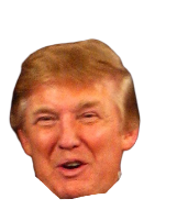 Donald Trump head Meme Template