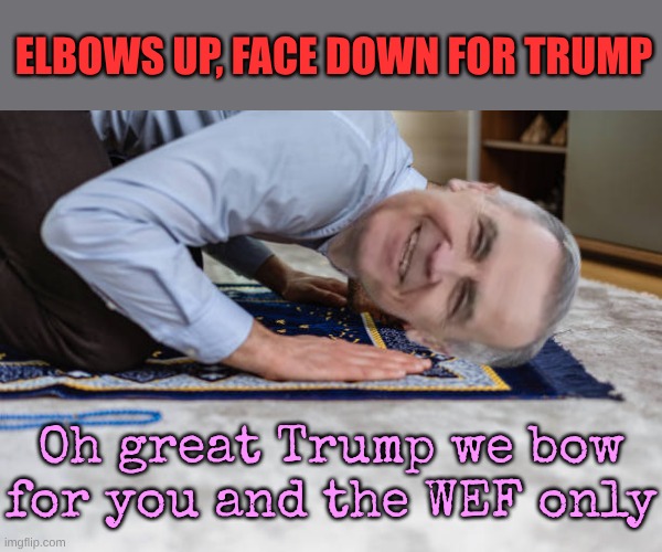 Life is a Carney val | ELBOWS UP, FACE DOWN FOR TRUMP; Oh great Trump we bow for you and the WEF only | made w/ Imgflip meme maker