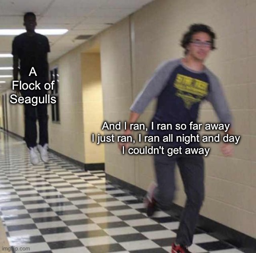 A Flock of Seagulls visiting Iran, 1983 | A Flock of Seagulls; And I ran, I ran so far away
I just ran, I ran all night and day
I couldn't get away | image tagged in floating boy chasing running boy,seagulls,band,1980s,iran | made w/ Imgflip meme maker