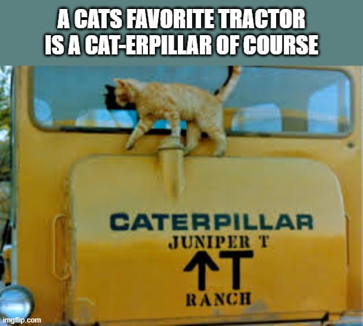 a cats favorite tractor is a Cat-erpillar of course | A CATS FAVORITE TRACTOR IS A CAT-ERPILLAR OF COURSE | image tagged in cats,funny,kitten,caterpillar,tractor,humor | made w/ Imgflip meme maker