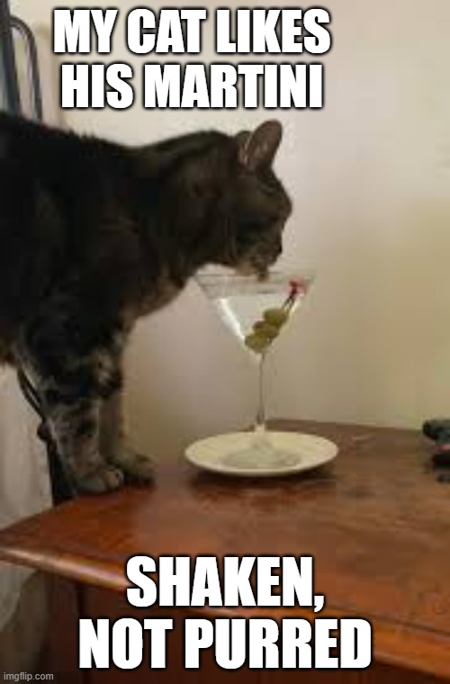 My cat likes his Martini's "shaken, not purred". | MY CAT LIKES HIS MARTINI; SHAKEN, NOT PURRED | image tagged in cats,funny,kittens,martini,humor,play on words | made w/ Imgflip meme maker