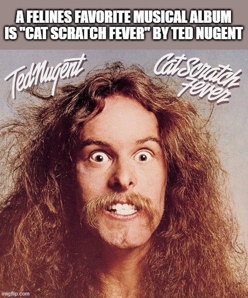 A cats favorite music album is Cat Scratch Fever. | A FELINES FAVORITE MUSICAL ALBUM IS "CAT SCRATCH FEVER" BY TED NUGENT | image tagged in cats,funny,kittens,humor,play on words,music | made w/ Imgflip meme maker