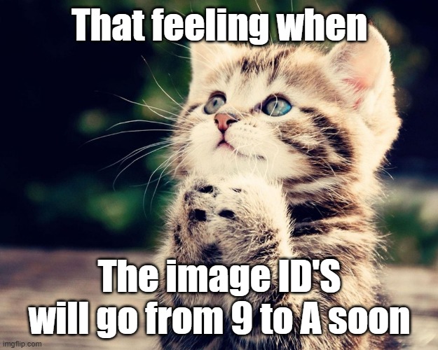 Exciting | That feeling when; The image ID'S will go from 9 to A soon | image tagged in kitten can i haz | made w/ Imgflip meme maker