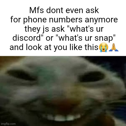 goofy ahh smiling cat | Mfs dont even ask for phone numbers anymore they js ask "what's ur discord" or "what's ur snap" and look at you like this😭🙏 | image tagged in goofy ahh smiling cat | made w/ Imgflip meme maker