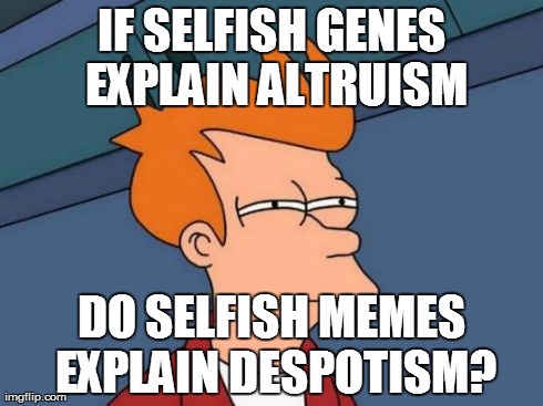 Selfish Meme Theory | IF SELFISH GENES EXPLAIN ALTRUISM DO SELFISH MEMES EXPLAIN DESPOTISM? | image tagged in memes,futurama fry | made w/ Imgflip meme maker