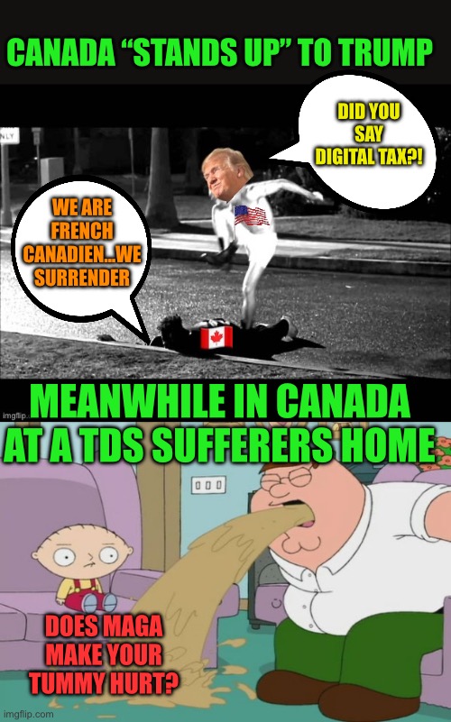 When you are always laying down it’s best not to try and stand | CANADA “STANDS UP” TO TRUMP; WE ARE FRENCH CANADIEN…WE SURRENDER; DID YOU SAY DIGITAL TAX?! MEANWHILE IN CANADA AT A TDS SUFFERERS HOME; DOES MAGA MAKE YOUR TUMMY HURT? | image tagged in peter griffin vomit,canada surrenders,being canuck sucks,hahahahahahahaha | made w/ Imgflip meme maker