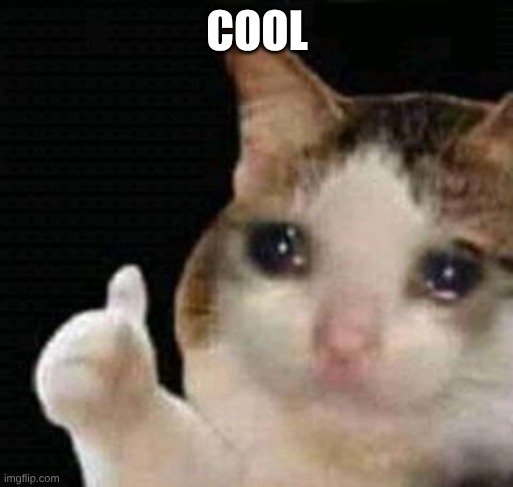 COOL | image tagged in sad thumbs up cat | made w/ Imgflip meme maker