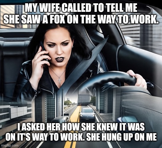 Work | MY WIFE CALLED TO TELL ME SHE SAW A FOX ON THE WAY TO WORK. I ASKED HER HOW SHE KNEW IT WAS ON IT'S WAY TO WORK. SHE HUNG UP ON ME | image tagged in work | made w/ Imgflip meme maker