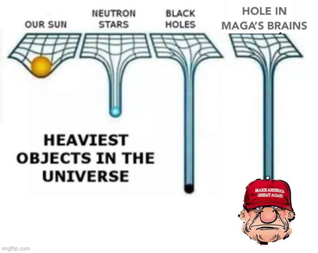 MAGA brains | . | image tagged in maga,donald trump,republicans,conservatives,right wing,brains | made w/ Imgflip meme maker