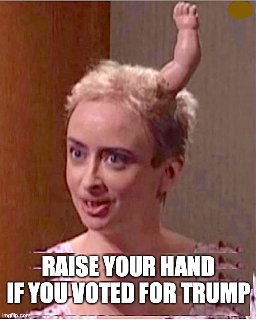 Raise your hand if you voted for Trump | RAISE YOUR HAND IF YOU VOTED FOR TRUMP | image tagged in donald trump,conservatives,right wing,republicans,maga,vote | made w/ Imgflip meme maker