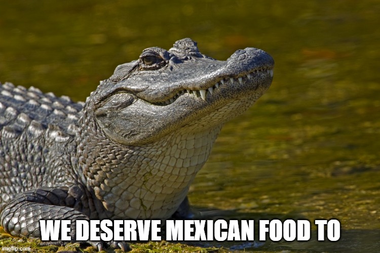 Aligatorlolhoe | WE DESERVE MEXICAN FOOD TO | image tagged in aligatorlolhoe | made w/ Imgflip meme maker