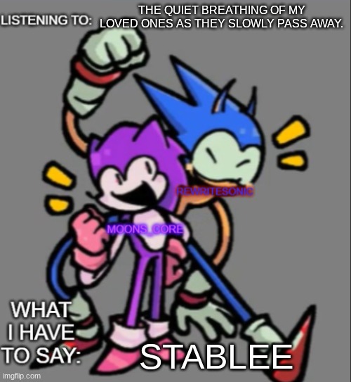 rewrite and moons core shared temp | THE QUIET BREATHING OF MY LOVED ONES AS THEY SLOWLY PASS AWAY. STABLEE | image tagged in rewrite and moons core shared temp | made w/ Imgflip meme maker