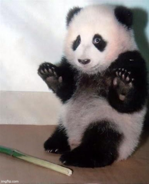 image tagged in hands up panda | made w/ Imgflip meme maker