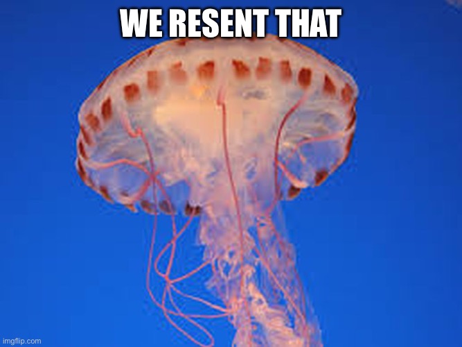 jellyfish | WE RESENT THAT | image tagged in jellyfish | made w/ Imgflip meme maker