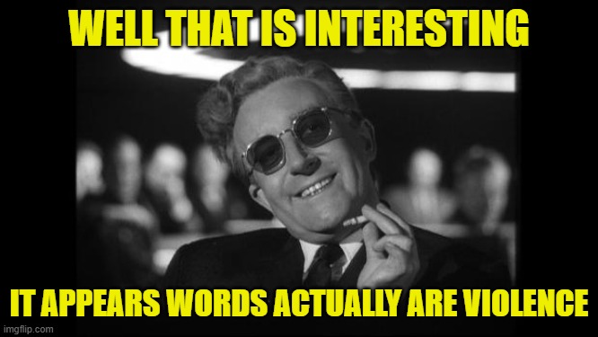 dr strangelove | WELL THAT IS INTERESTING IT APPEARS WORDS ACTUALLY ARE VIOLENCE | image tagged in dr strangelove | made w/ Imgflip meme maker