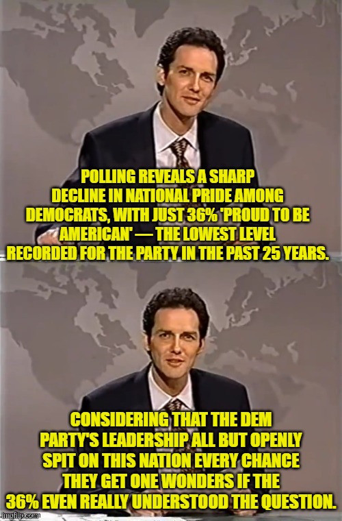 It does make a body wonder. | POLLING REVEALS A SHARP DECLINE IN NATIONAL PRIDE AMONG DEMOCRATS, WITH JUST 36% 'PROUD TO BE AMERICAN' — THE LOWEST LEVEL RECORDED FOR THE PARTY IN THE PAST 25 YEARS. CONSIDERING THAT THE DEM PARTY'S LEADERSHIP ALL BUT OPENLY SPIT ON THIS NATION EVERY CHANCE THEY GET ONE WONDERS IF THE 36% EVEN REALLY UNDERSTOOD THE QUESTION. | image tagged in weekend update with norm | made w/ Imgflip meme maker