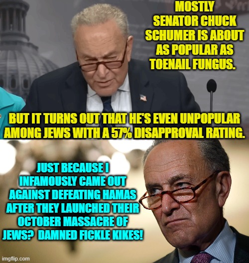 Yeah . . . all true. | MOSTLY SENATOR CHUCK SCHUMER IS ABOUT AS POPULAR AS TOENAIL FUNGUS. BUT IT TURNS OUT THAT HE'S EVEN UNPOPULAR AMONG JEWS WITH A 57% DISAPPROVAL RATING. JUST BECAUSE I INFAMOUSLY CAME OUT AGAINST DEFEATING HAMAS AFTER THEY LAUNCHED THEIR OCTOBER MASSACRE OF JEWS?  DAMNED FICKLE KIKES! | image tagged in yep | made w/ Imgflip meme maker