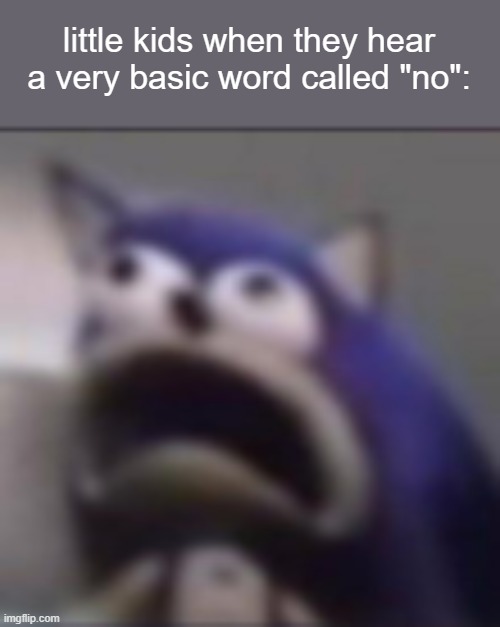 "hOw DaR yOU saY iLeGal wOrD" | little kids when they hear a very basic word called "no": | image tagged in memes,distress,funny,little kids,no,real | made w/ Imgflip meme maker