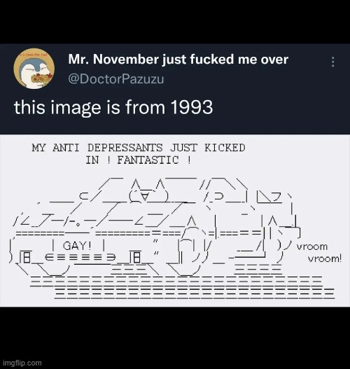ascii high cat in a car | image tagged in text,old,white background,meme,memes,funny | made w/ Imgflip meme maker