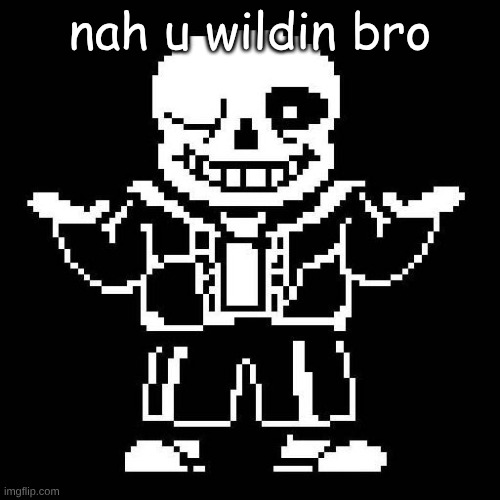 sans undertale | nah u wildin bro | image tagged in sans undertale | made w/ Imgflip meme maker