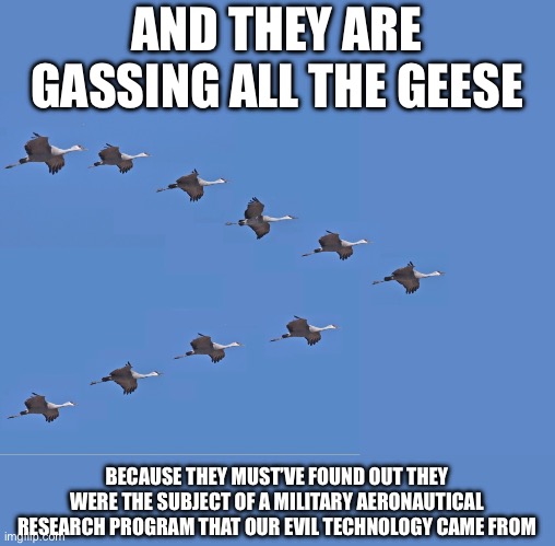 GEESE | AND THEY ARE GASSING ALL THE GEESE BECAUSE THEY MUST’VE FOUND OUT THEY WERE THE SUBJECT OF A MILITARY AERONAUTICAL RESEARCH PROGRAM THAT OUR | image tagged in geese | made w/ Imgflip meme maker