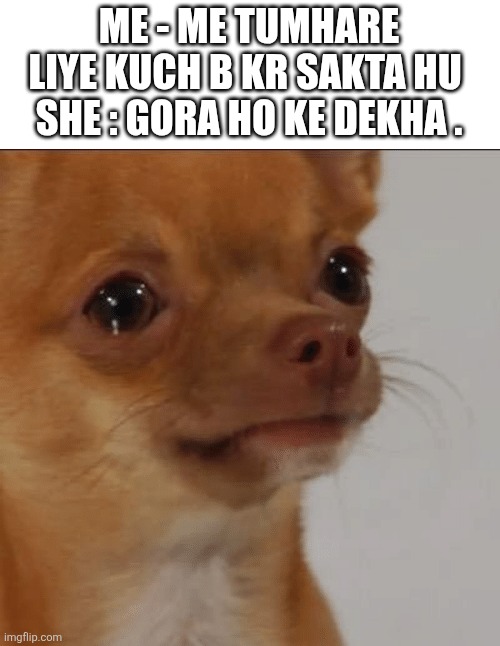 Crying Dog | ME - ME TUMHARE LIYE KUCH B KR SAKTA HU 
SHE : GORA HO KE DEKHA . | image tagged in crying dog | made w/ Imgflip meme maker