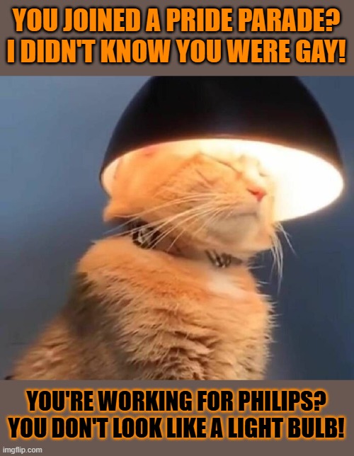This #lolcat wonders if you have to be part of a community to show support | YOU JOINED A PRIDE PARADE?
I DIDN'T KNOW YOU WERE GAY! YOU'RE WORKING FOR PHILIPS?
YOU DON'T LOOK LIKE A LIGHT BULB! | image tagged in support,lolcat,lgbtq,logic,homosexuality,equal rights | made w/ Imgflip meme maker