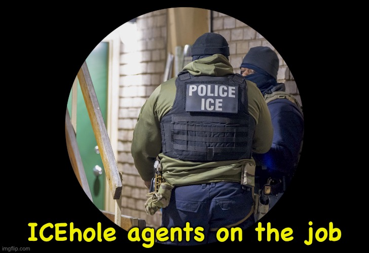 ICEholes | ICEhole agents on the job | image tagged in ice agents in masks | made w/ Imgflip meme maker