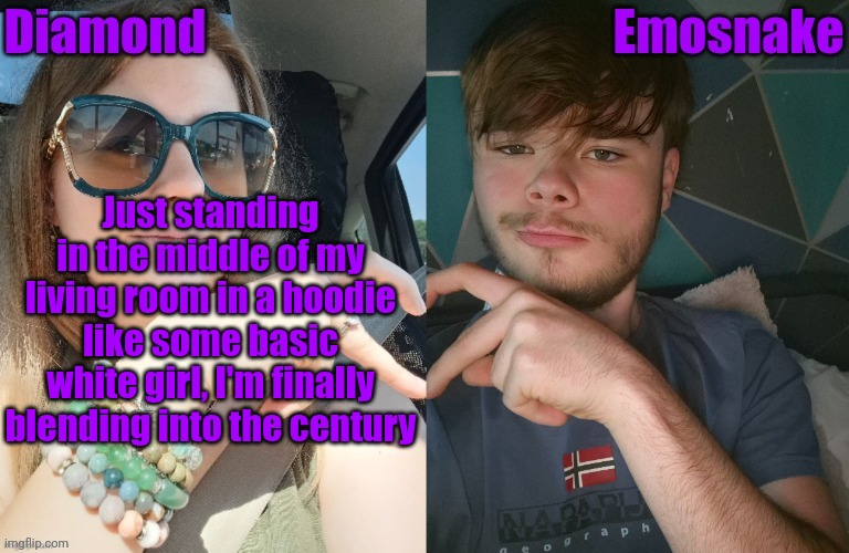 Just standing in the middle of my living room in a hoodie like some basic white girl, I'm finally blending into the century | image tagged in diamond and es shared couple temp | made w/ Imgflip meme maker
