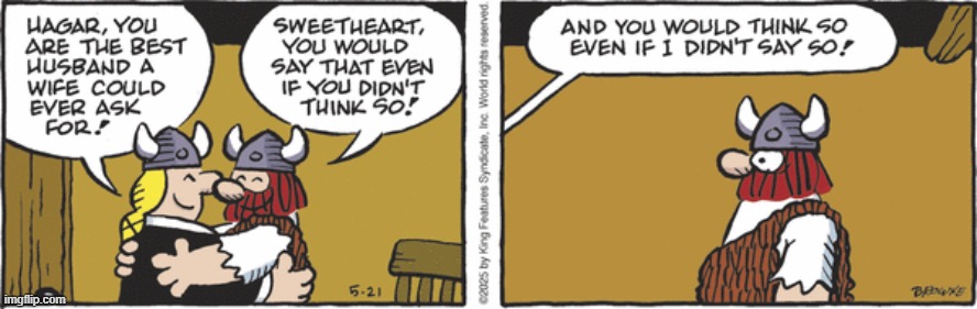 Hagar The Horrible | image tagged in comics | made w/ Imgflip meme maker