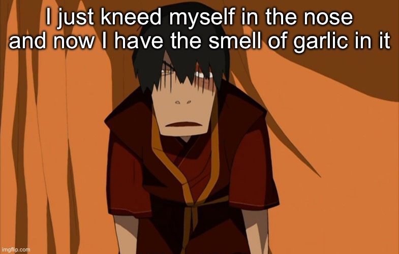 Yes YOU NEEDED to know about this | I just kneed myself in the nose and now I have the smell of garlic in it | image tagged in zuko flustered | made w/ Imgflip meme maker