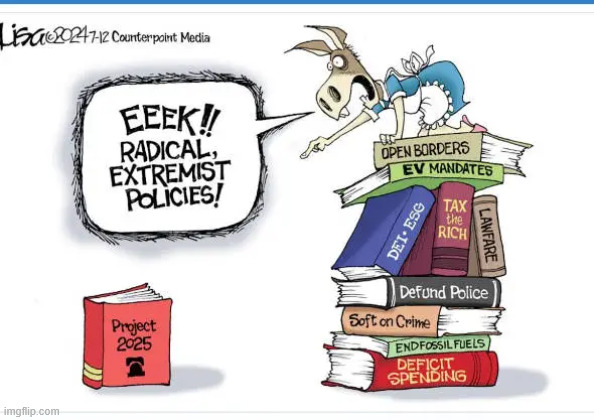 The real threat to democracy... democrats | image tagged in democrats,threat to democracy | made w/ Imgflip meme maker
