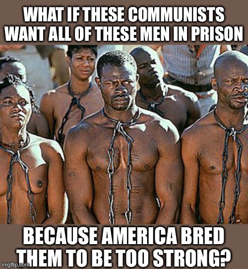 slavery | WHAT IF THESE COMMUNISTS WANT ALL OF THESE MEN IN PRISON; BECAUSE AMERICA BRED THEM TO BE TOO STRONG? | image tagged in slavery,communism,america,liberal logic,liberal hypocrisy | made w/ Imgflip meme maker
