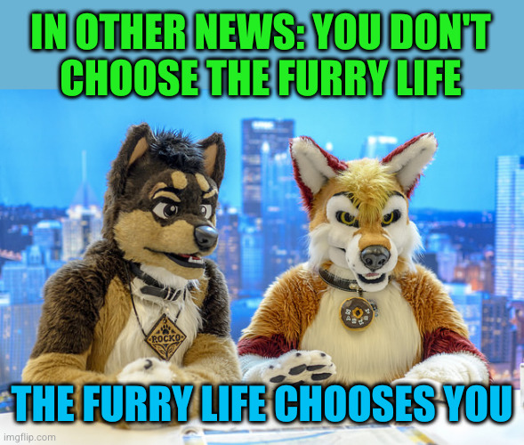 Furry News | IN OTHER NEWS: YOU DON'T
CHOOSE THE FURRY LIFE; THE FURRY LIFE CHOOSES YOU | image tagged in furry news | made w/ Imgflip meme maker