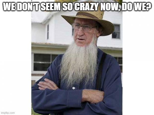 Amish Style | WE DON'T SEEM SO CRAZY NOW, DO WE? | image tagged in amish style | made w/ Imgflip meme maker