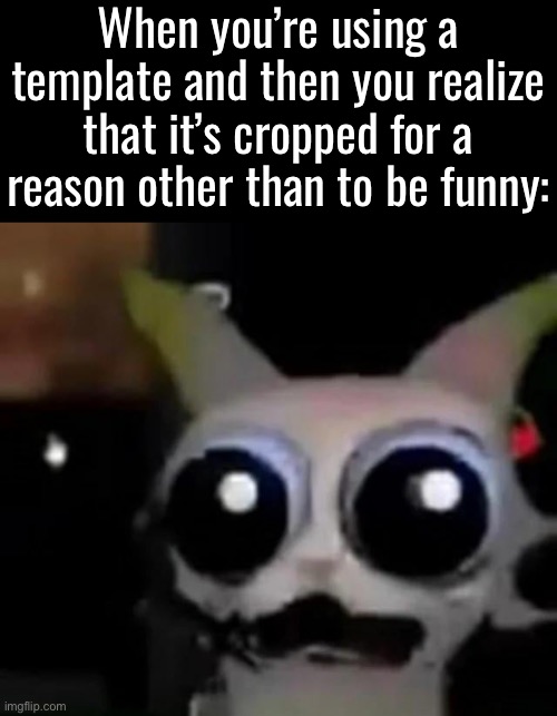 When you’re using a template and then you realize that it’s cropped for a reason other than to be funny: | made w/ Imgflip meme maker