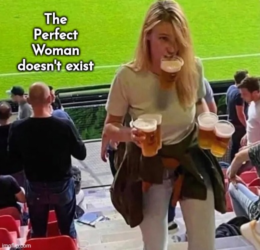 How I met your Mother | The Perfect Woman doesn't exist | image tagged in woman,beer,visible happiness,i'll just wait here,what no pizza | made w/ Imgflip meme maker