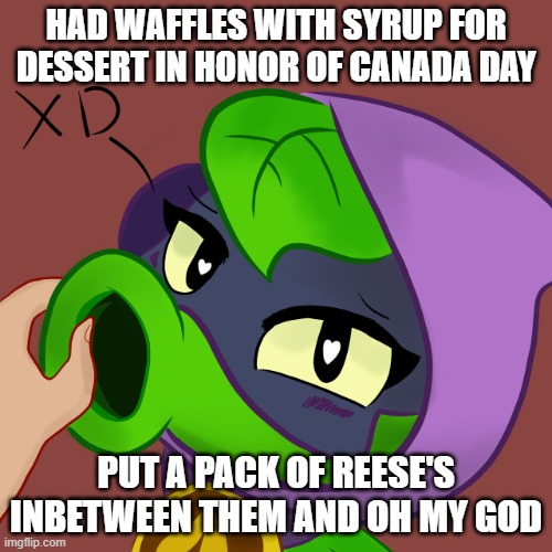 Cursed Green Shadow | HAD WAFFLES WITH SYRUP FOR DESSERT IN HONOR OF CANADA DAY; PUT A PACK OF REESE'S INBETWEEN THEM AND OH MY GOD | image tagged in cursed green shadow | made w/ Imgflip meme maker