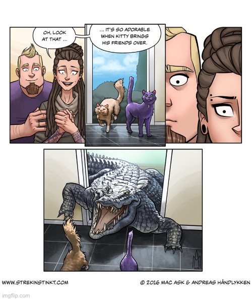 Kitty’s hanging with a tough crowd… | image tagged in comics,strekinstinkt,cats,alligator | made w/ Imgflip meme maker