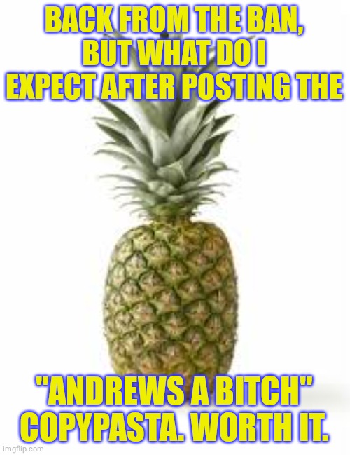 Sethamphetamine announcement temp | BACK FROM THE BAN, BUT WHAT DO I EXPECT AFTER POSTING THE; "ANDREWS A BITCH" COPYPASTA. WORTH IT. | image tagged in sethamphetamine announcement temp | made w/ Imgflip meme maker