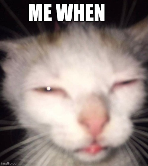 Tired cat | ME WHEN | image tagged in tired cat | made w/ Imgflip meme maker