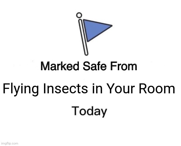 Marked Safe From | Flying Insects in Your Room | image tagged in memes,flying,insects | made w/ Imgflip meme maker