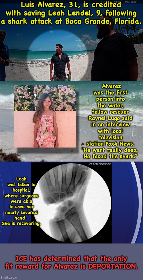 No good deed goes unpunished. | Luis Alvarez, 31, is credited with saving Leah Lendel, 9, following a shark attack at Boca Grande, Florida. Alvarez was the first person into the water, fellow rescuer Raynel Lugo said in an interview with local television station Fox4 News.

"He went really deep.  He faced the shark.”; Leah was taken to hospital, where surgeons were able to save her nearly severed hand.  She is recovering. ICE has determined that the only fit reward for Alvarez is DEPORTATION. | made w/ Imgflip meme maker