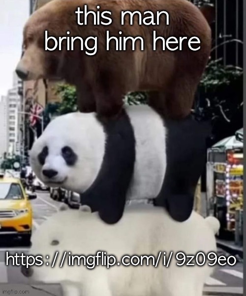 get him | this man
bring him here; https://imgflip.com/i/9z09eo | image tagged in real we bare bears | made w/ Imgflip meme maker