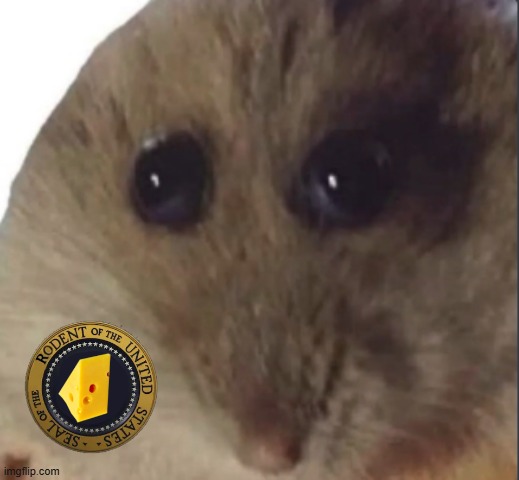 Hampter | image tagged in hampter | made w/ Imgflip meme maker