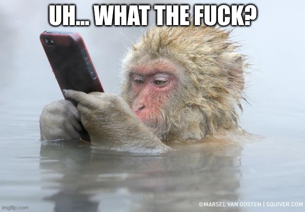 monkey mobile phone | UH... WHAT THE FUCK? | image tagged in monkey mobile phone | made w/ Imgflip meme maker