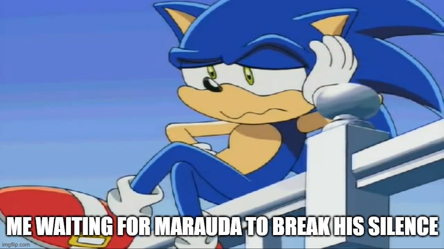 Me Waiting for Marauda to break his silence | ME WAITING FOR MARAUDA TO BREAK HIS SILENCE | image tagged in impatient sonic - sonic x,dubstep,memes | made w/ Imgflip meme maker