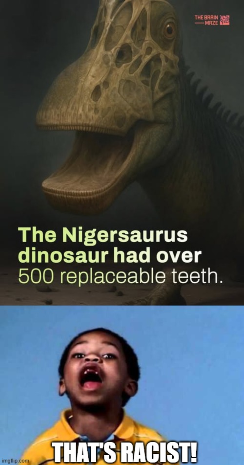 The What a Saurus? | THAT'S RACIST! | image tagged in that's racist 2 | made w/ Imgflip meme maker