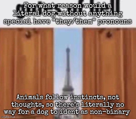 The gates of hell | For what reason would a literal dog without anything special have “they/them” pronouns; Animals follow instincts, not thoughts, so there’s literally no way for a dog to identify as non-binary | image tagged in the gates of hell,msmg | made w/ Imgflip meme maker
